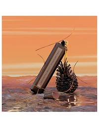 Fille en Aiguilles Eau de Parfum