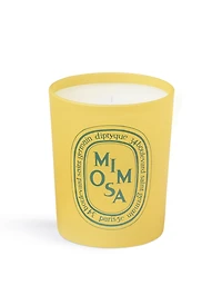 Mimosa Candle - Limited Edition