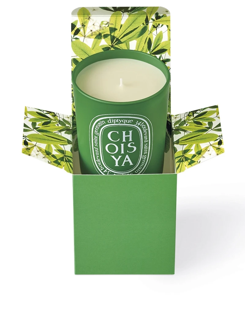 Choisya Candle - Limited Edition