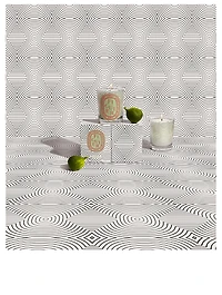 Figuier Dancing Ovals Candle - Limited Edition