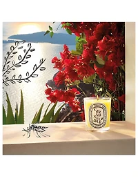 Citronnelle Candle - Limited Edition
