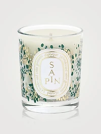 Sapin Candle (70g) - Holiday Limited Edition
