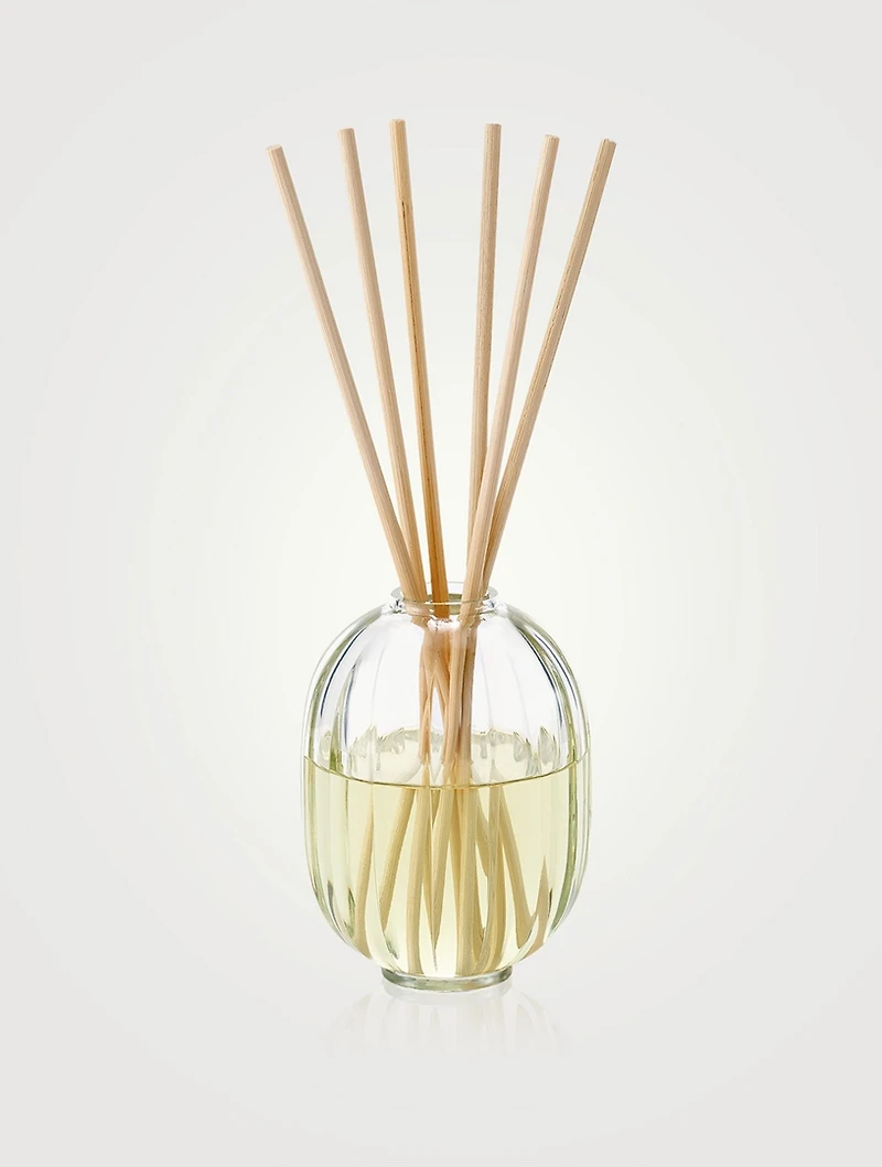 Figuier (Fig) Fragrance Reed Diffuser