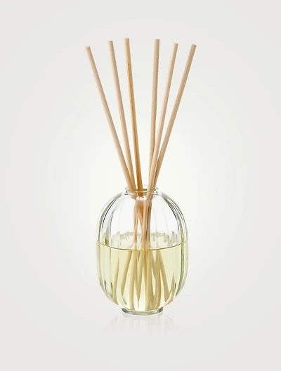 Figuier (Fig) Fragrance Reed Diffuser