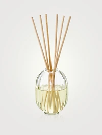 Figuier (Fig) Fragrance Reed Diffuser