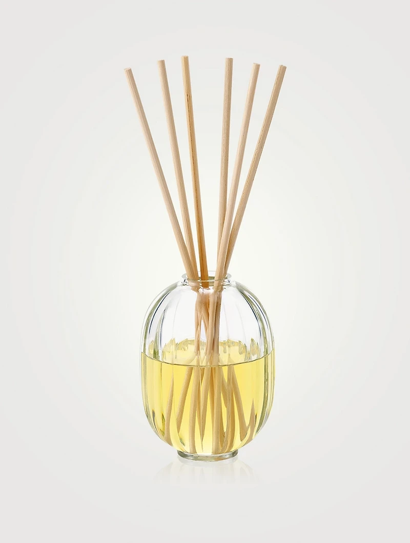 Fleur D'Oranger (Orange Blossom) Fragrance Reed Diffuser