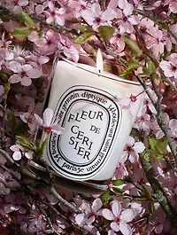 Fleur de Cerisier (Cherry Blossom) Classic Candle