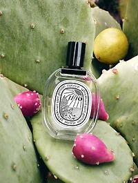 Ilio Eau de Toilette