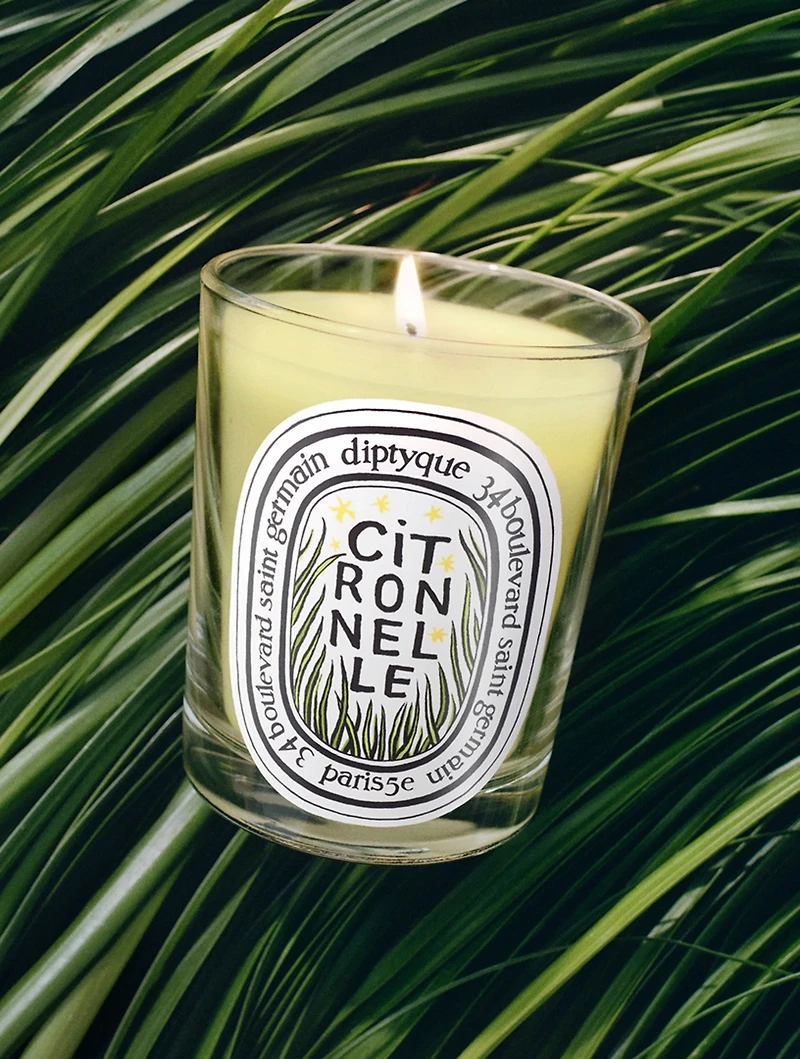 Citronnelle (Lemongrass) Scented Candle - Limited Edition