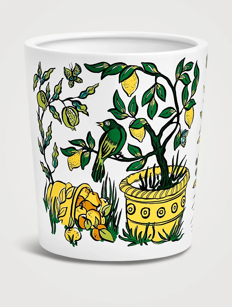 Citronnelle (Lemongrass) Extra Large Scented Candle