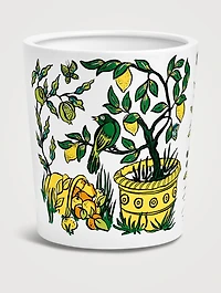 Citronnelle (Lemongrass) Extra Large Scented Candle