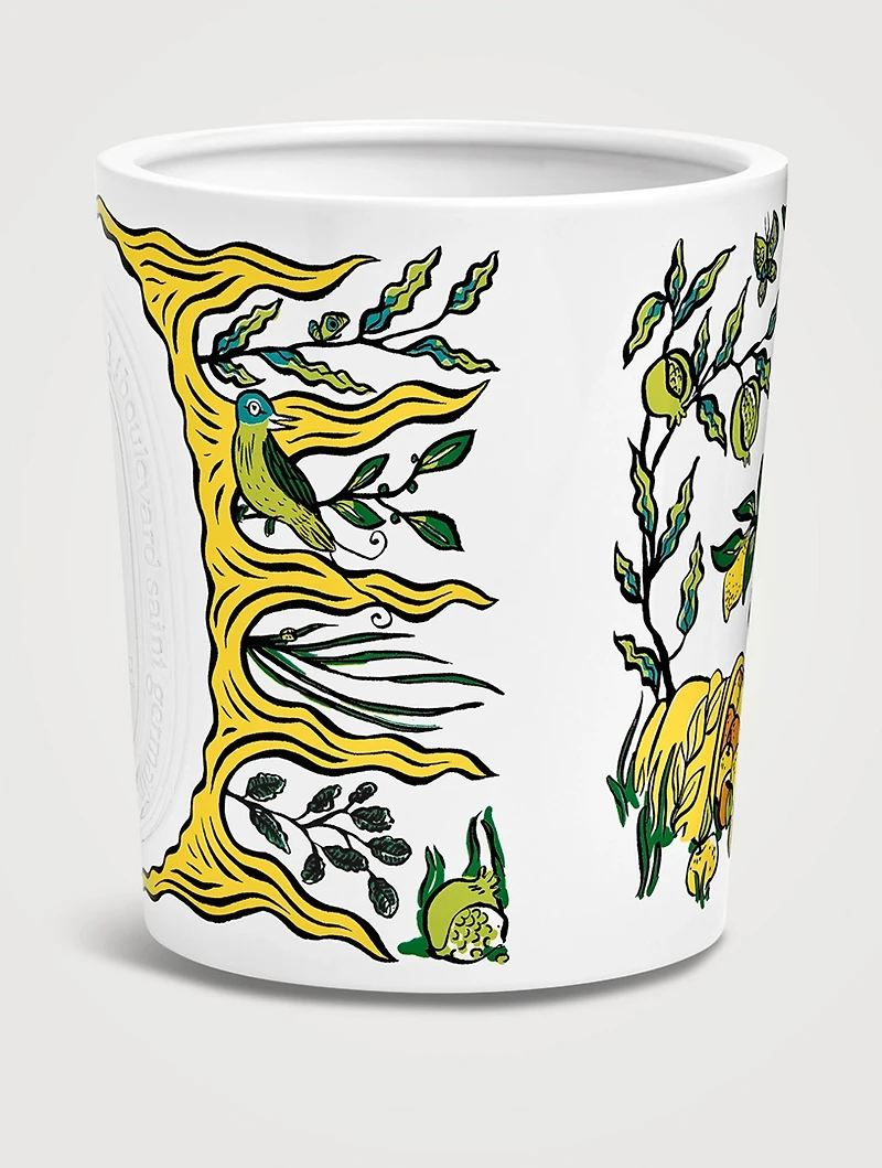 Citronnelle (Lemongrass) Extra Large Scented Candle