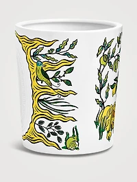 Citronnelle (Lemongrass) Extra Large Scented Candle