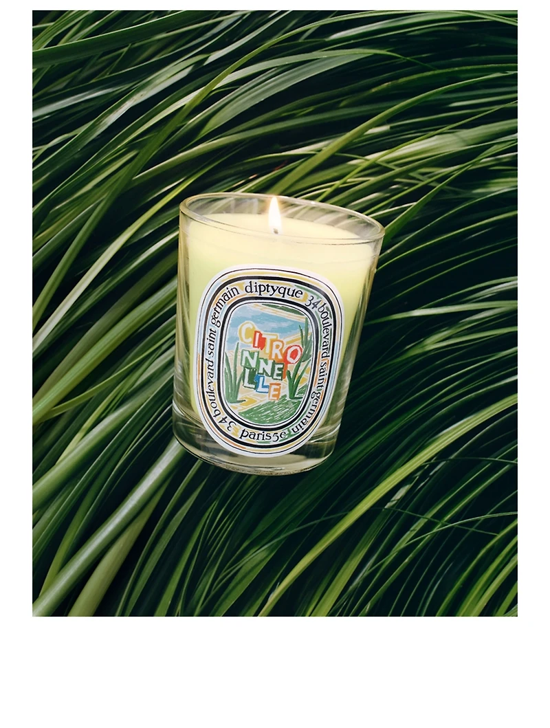 Mini Candle Set (Cyprès, Figuier, Citronnelle)