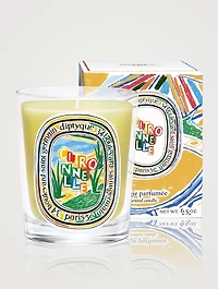 Citronnelle (Lemongrass) Classic Candle