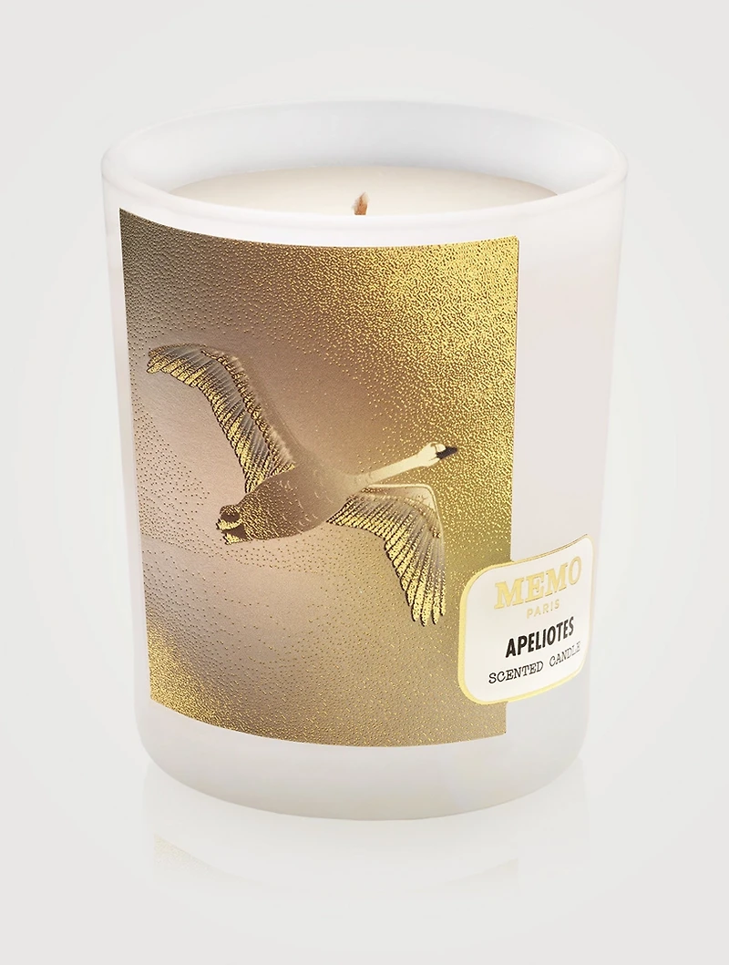 Apeliotes Scented Candle