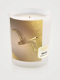 Apeliotes Scented Candle