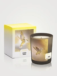 Skiros Scented Candle