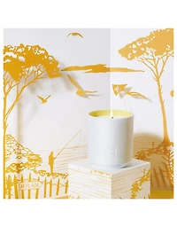 Les Tamaris Scented Candle