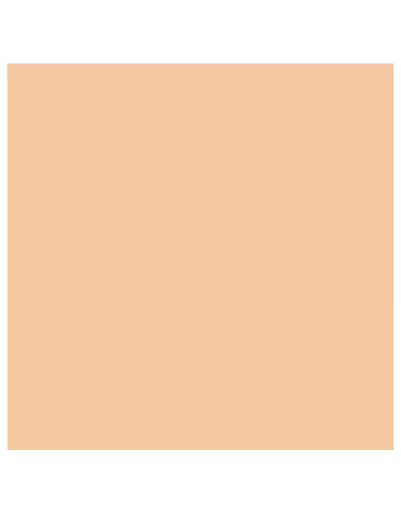 Designer Essence-In-Balm Mesh Cushion Foundation