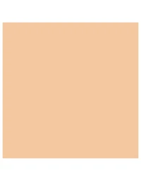 Designer Essence-In-Balm Mesh Cushion Foundation