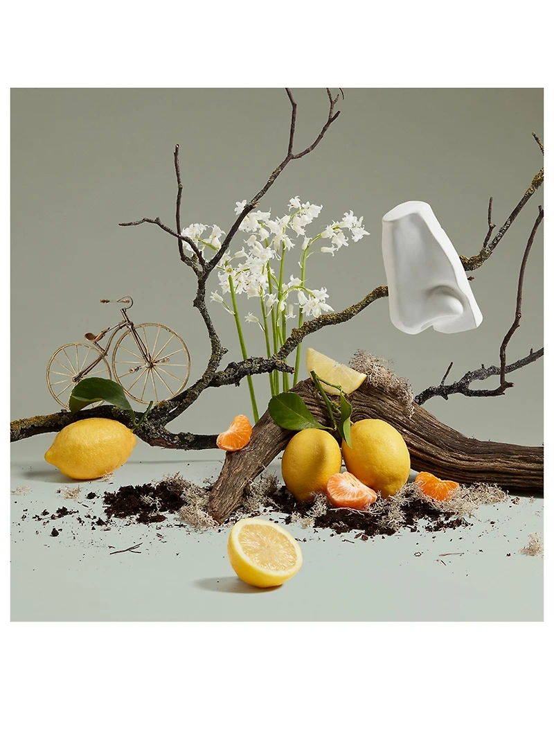 Quercus Eau de Cologne