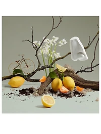 Quercus Eau de Cologne