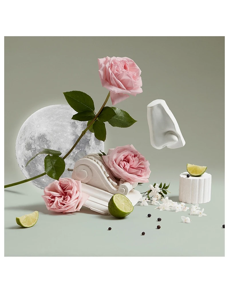 Luna Body and Hand Lotion