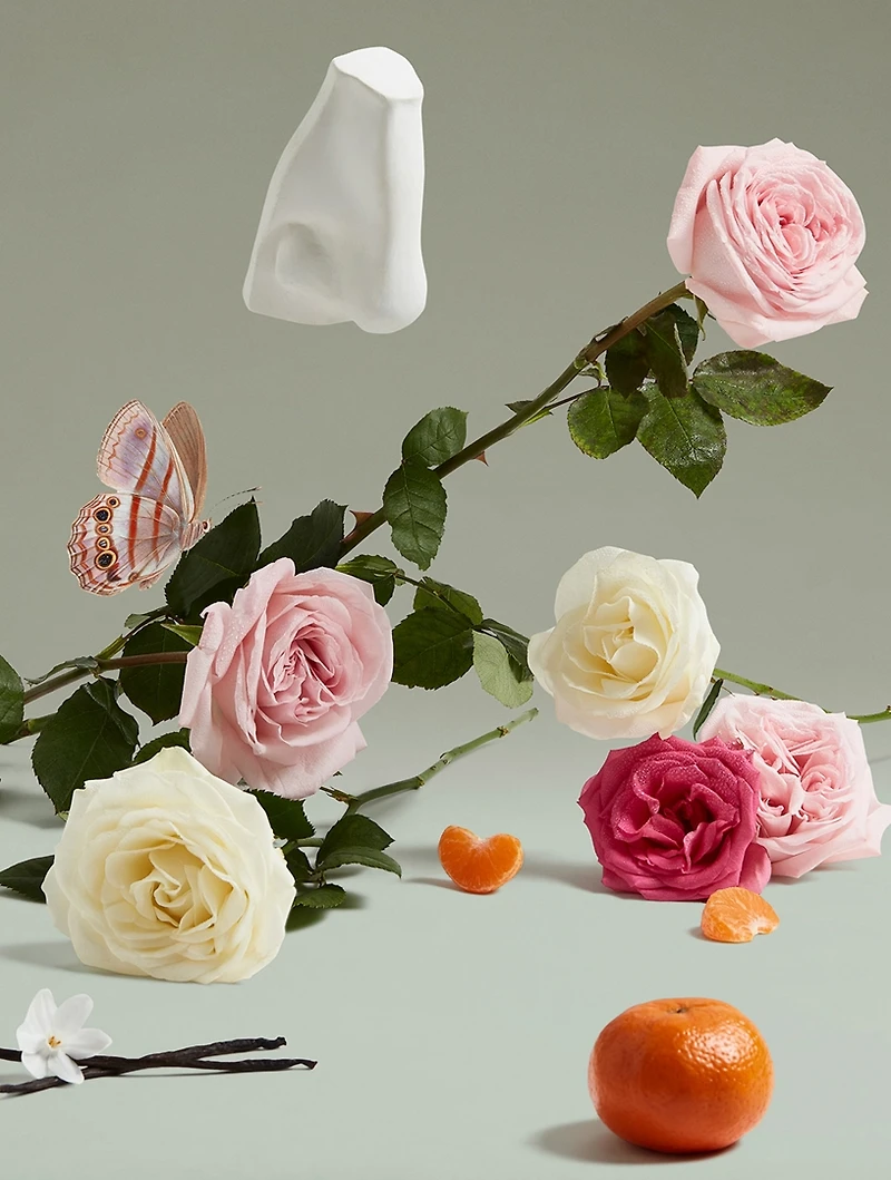 The Coveted Duchess Rose Eau de Parfum