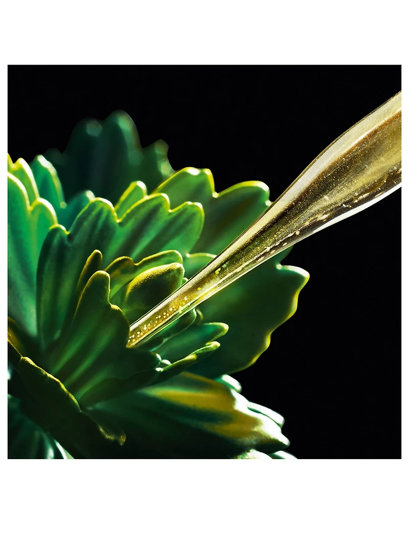 Crema Nera Supreme Reviving Cream Gift Set