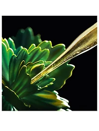 Crema Nera Supreme Reviving Cream Gift Set