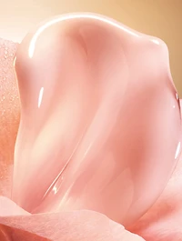 Absolue Soft Cream Gift Set ($488 Value)