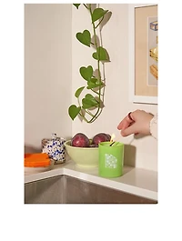 LUSH - Galbanum & Plum Candle