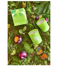 LUSH - Galbanum & Plum Candle