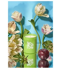 LUSH - Galbanum & Plum Candle