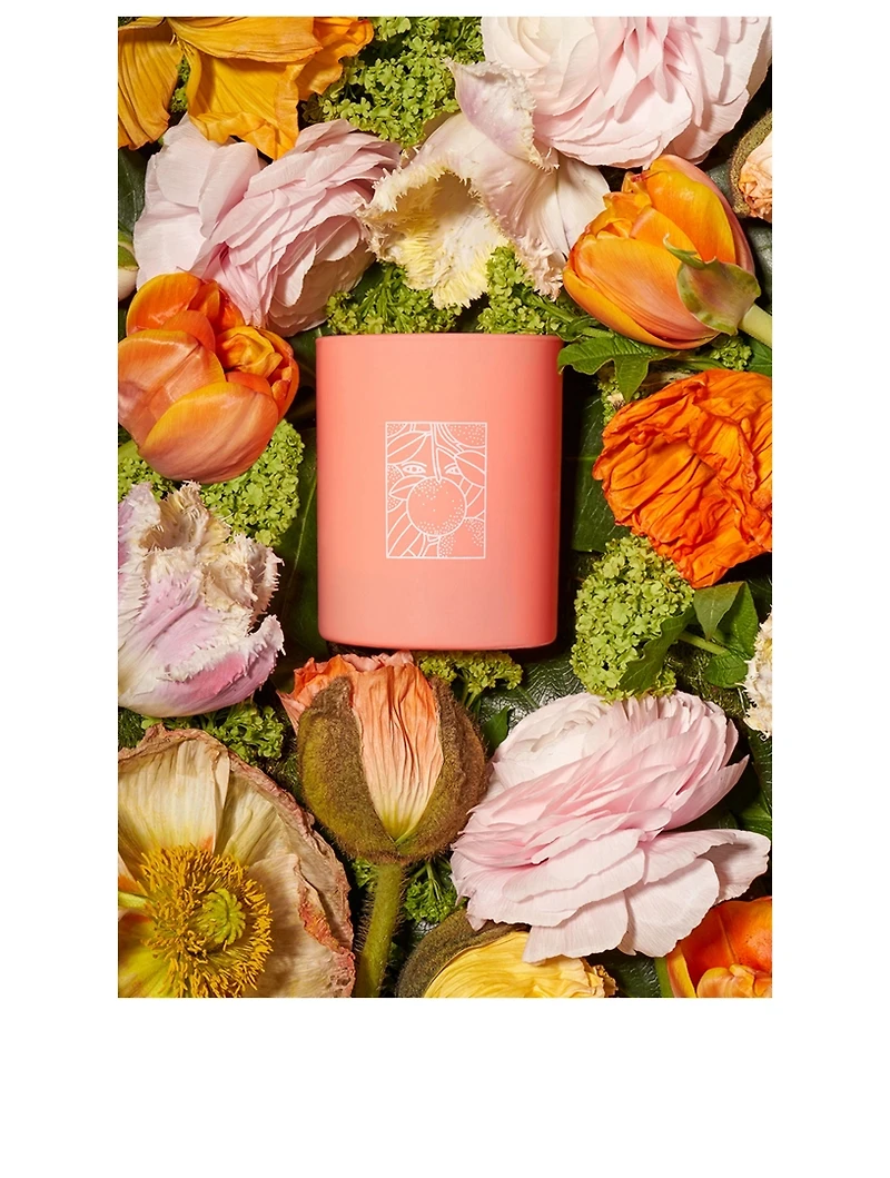 ZEST- Grapefruit & Rhubarb Candle