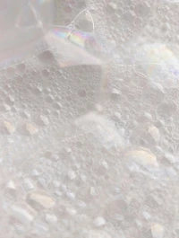 Refresh Papaya + Salicylic Acid Cleanser