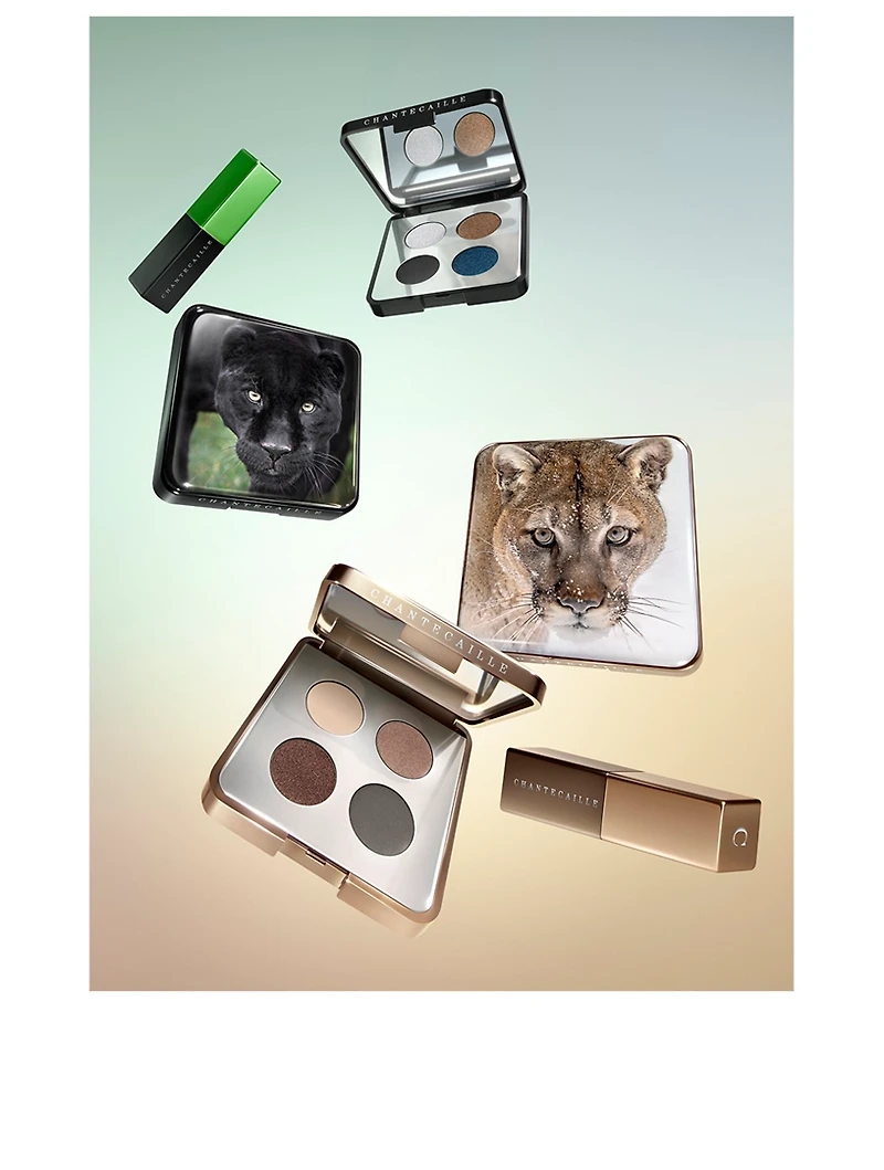 Cougar Eye Quartet