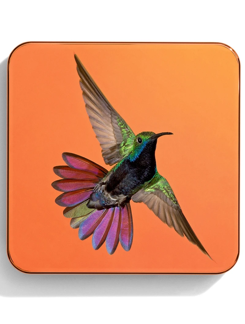 Perfect Blur Finishing Powder - Hummingbird Limited Edition