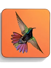 Perfect Blur Finishing Powder - Hummingbird Limited Edition
