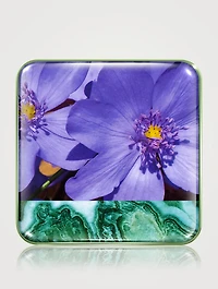 Wild Meadows Blush  - Limited Edition