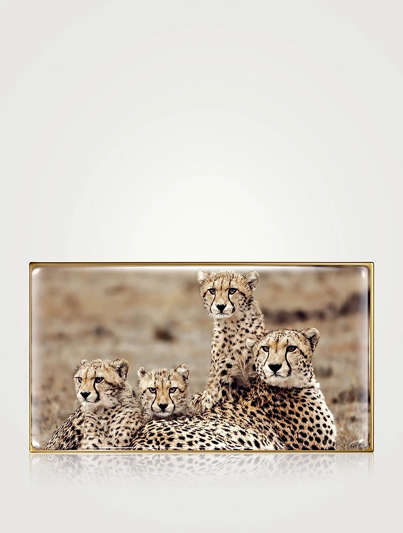 Cheetah Eye Trio