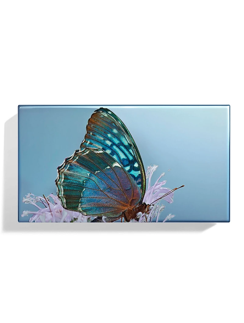 Butterfly Eye Trio