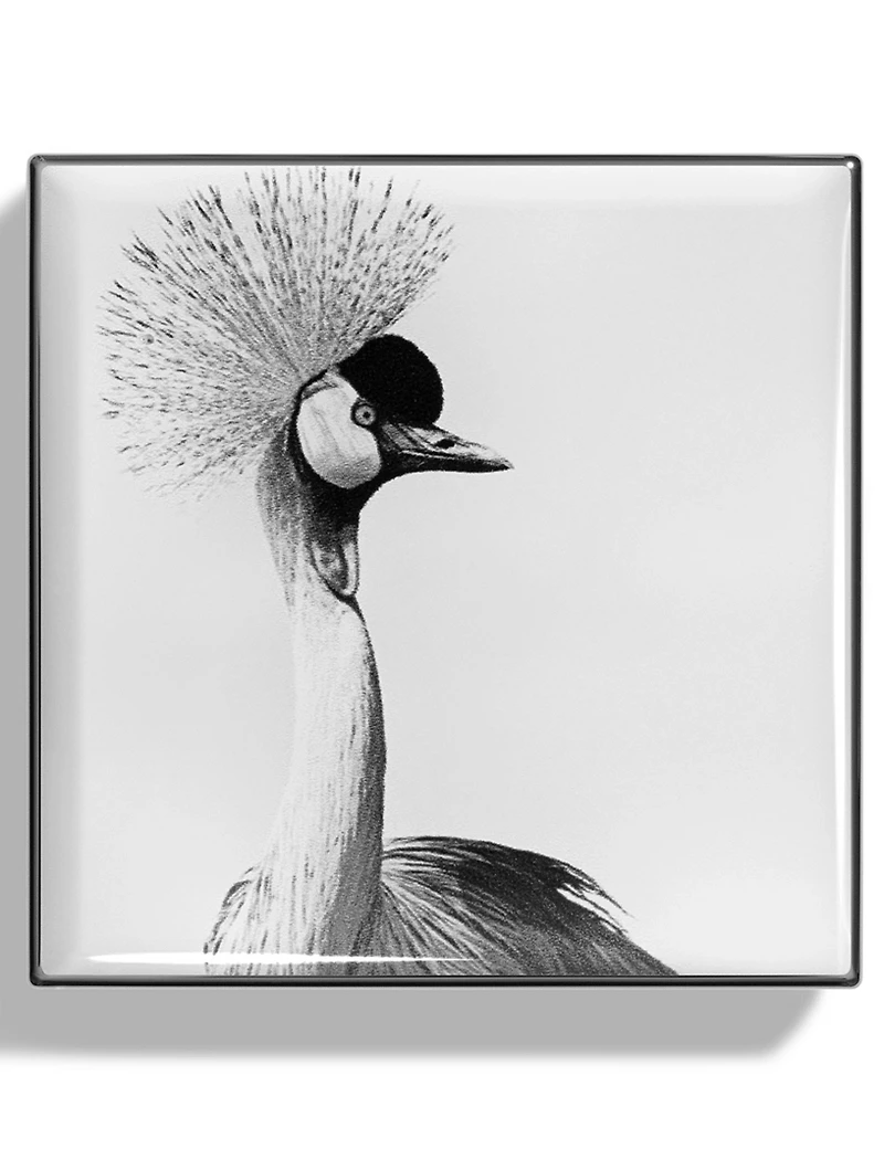 Luminescent Eye Shade - Crane