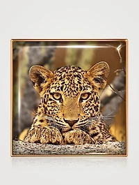 Luminescent Eye Shade - Leopard