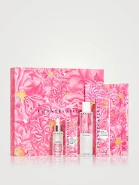 Harvest Set - John Derian Edition
