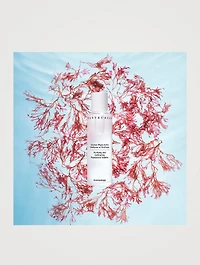Purifying & Exfoliating Phytoactive Solution Toner