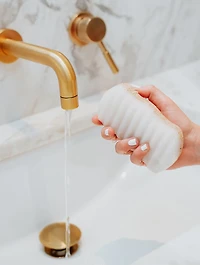 Konjac Walnut Shell Exfoliating Body Sponge
