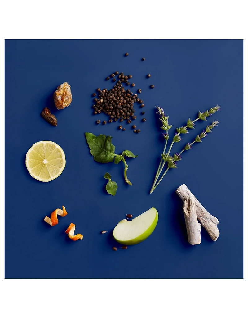 Blue Midnight™ Body & Hair Cleanser
