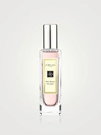 Red Roses Cologne